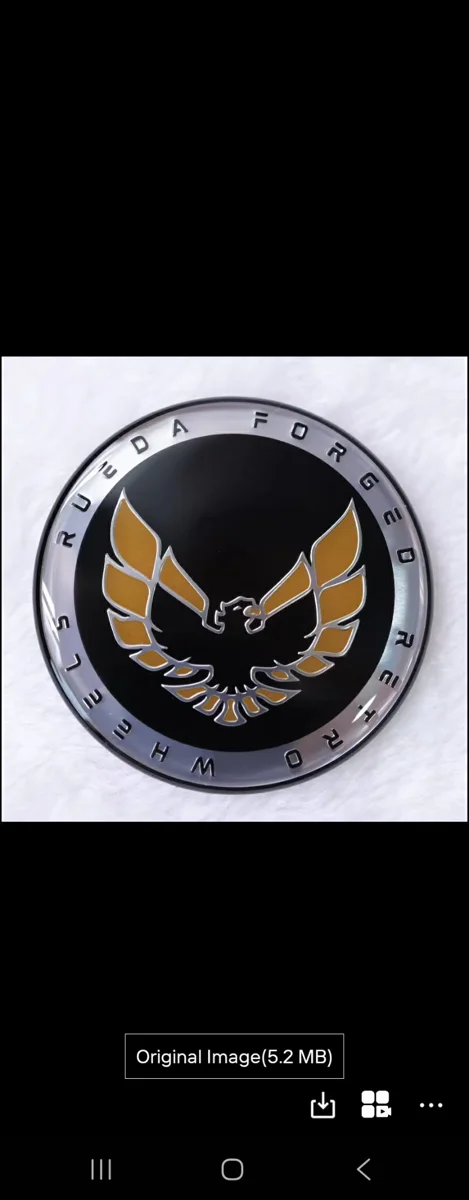 New center cap logo - 1980 Pontiac Firebird/Trans Am/GTA/Formula