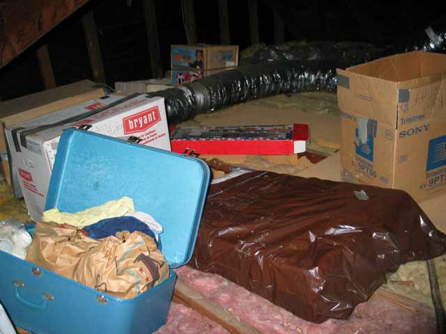 attic2-LVrob.jpg