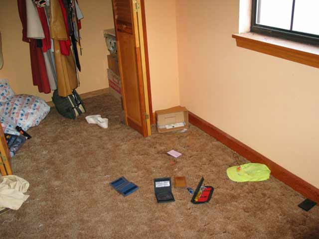 myroom-LVrob.jpg