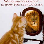 avatar_cat_lion.jpg