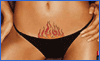 pic03.gif