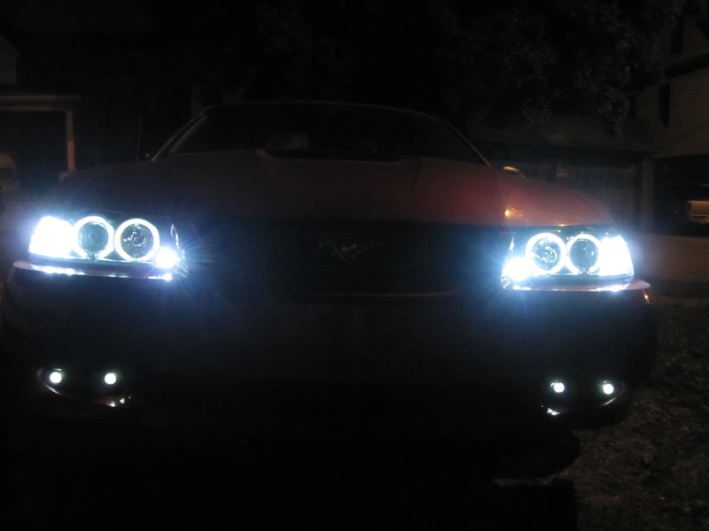 cterie's Mustang 2000 Ford Mustang