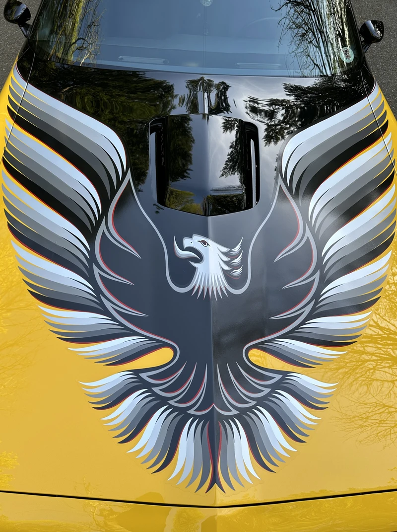 1980 Pontiac Firebird/Trans Am/GTA/Formula - Photo 5 of 6