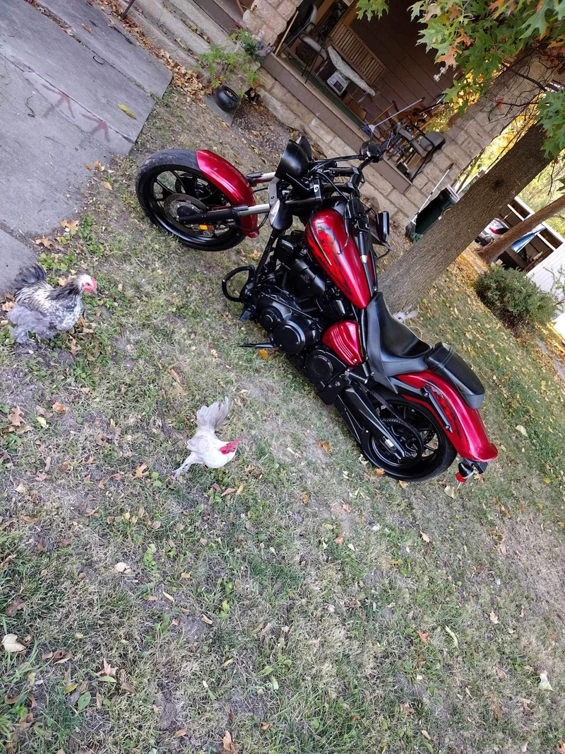2009 Yamaha V-Twin Raider - Photo 2 of 2